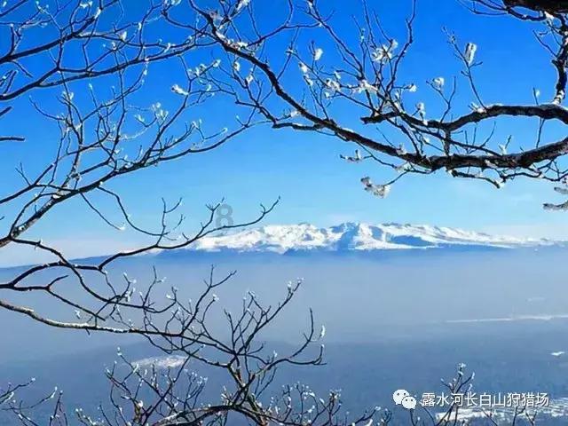 {{问答文章1}}游戏画面