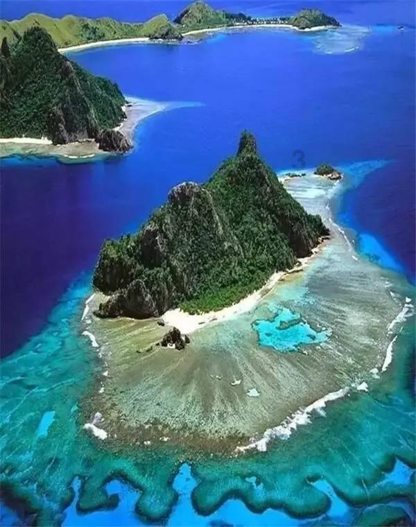 逃出林中村